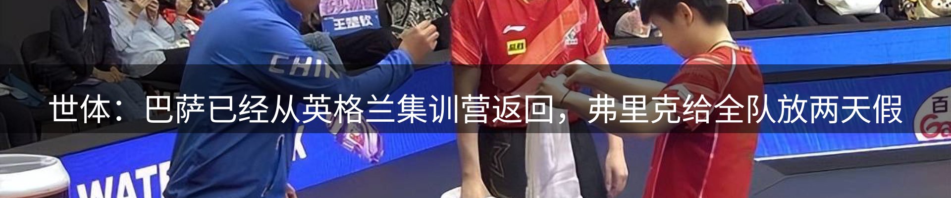 新闻动态