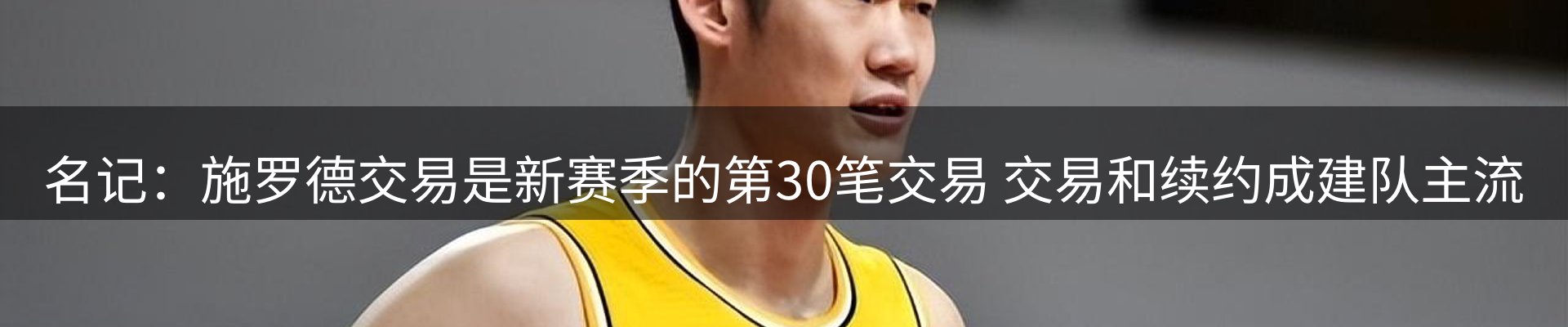 新闻动态