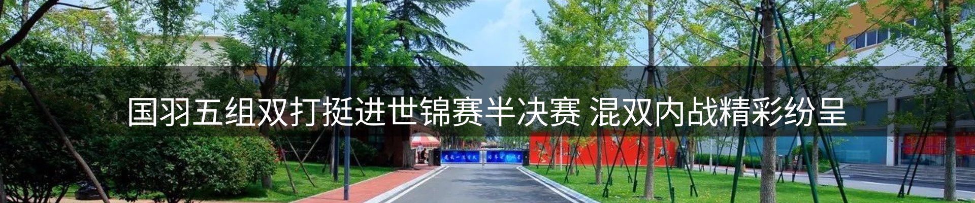 新闻动态
