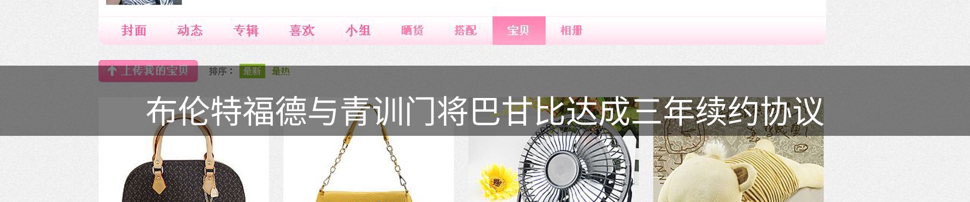 新闻动态