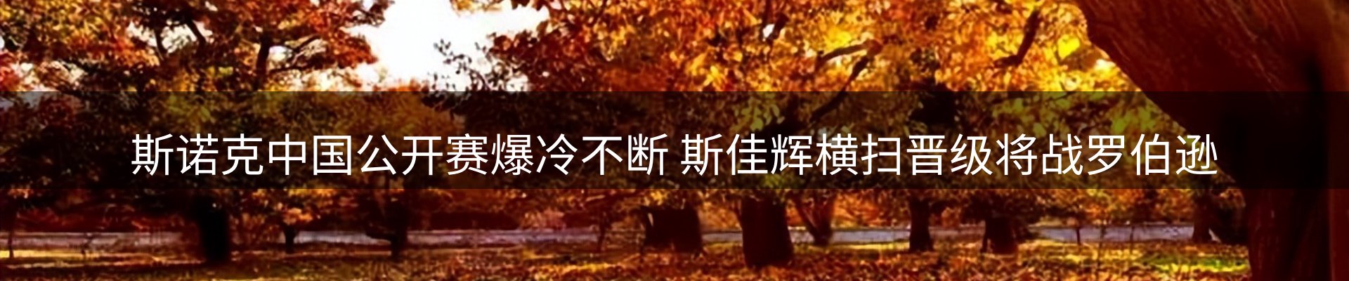 新闻动态