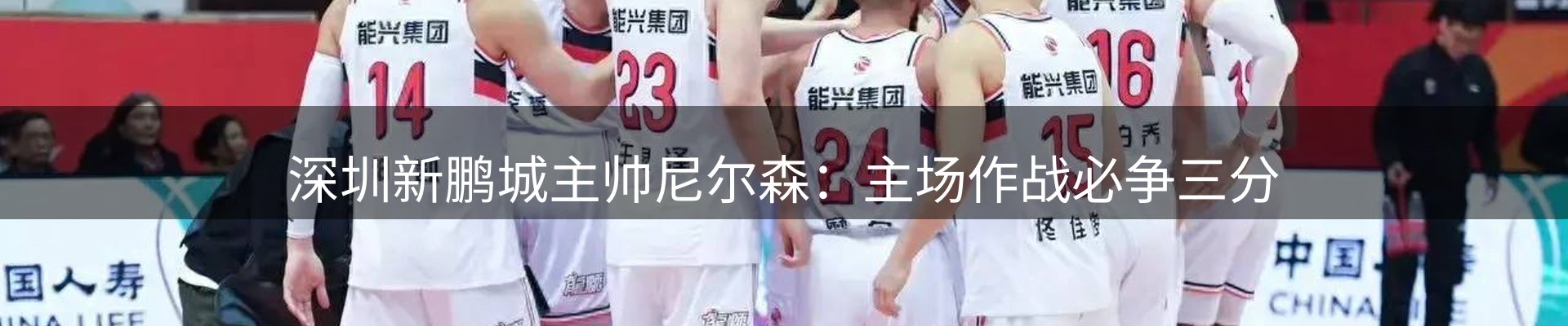 新闻动态