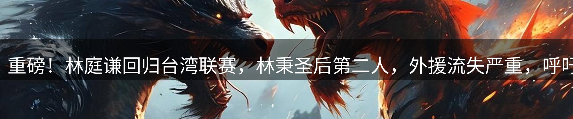 新闻动态